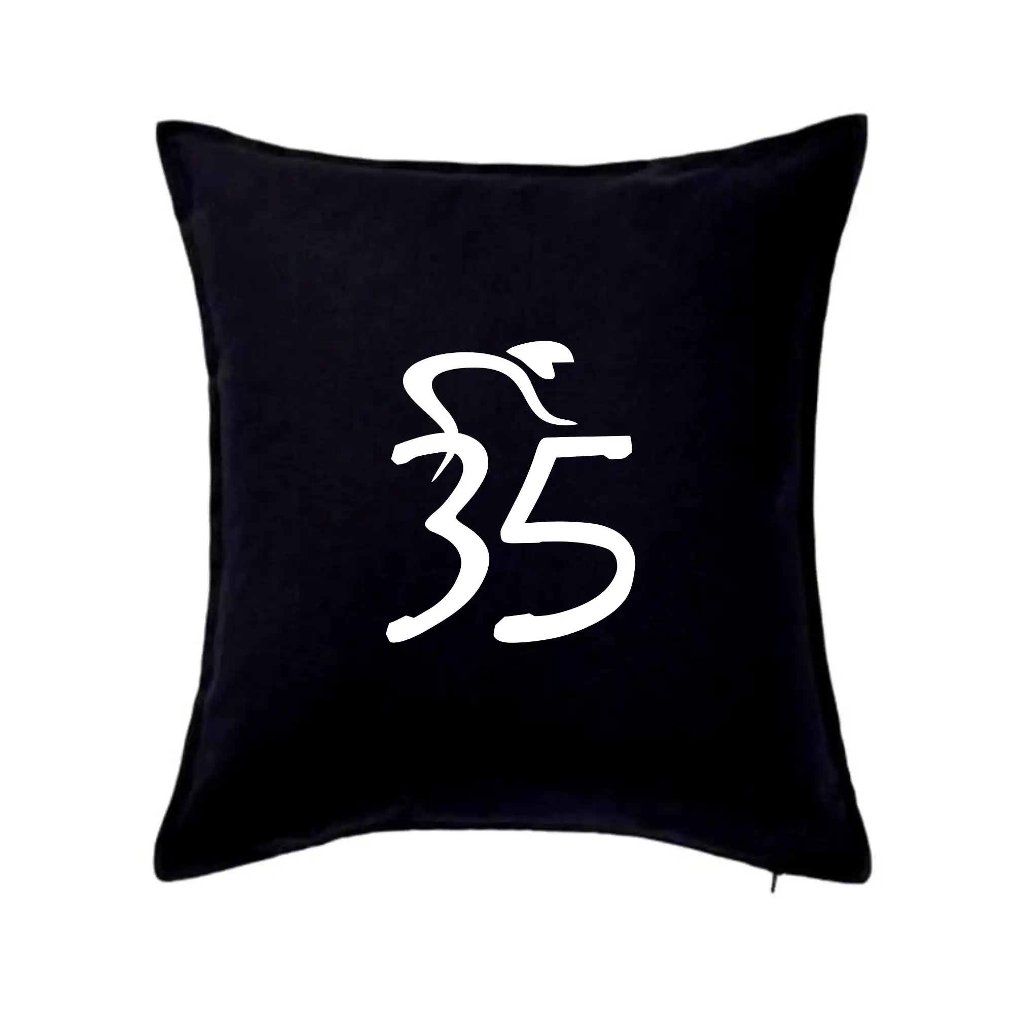 Cyklista slaví pětatřicítku (35)