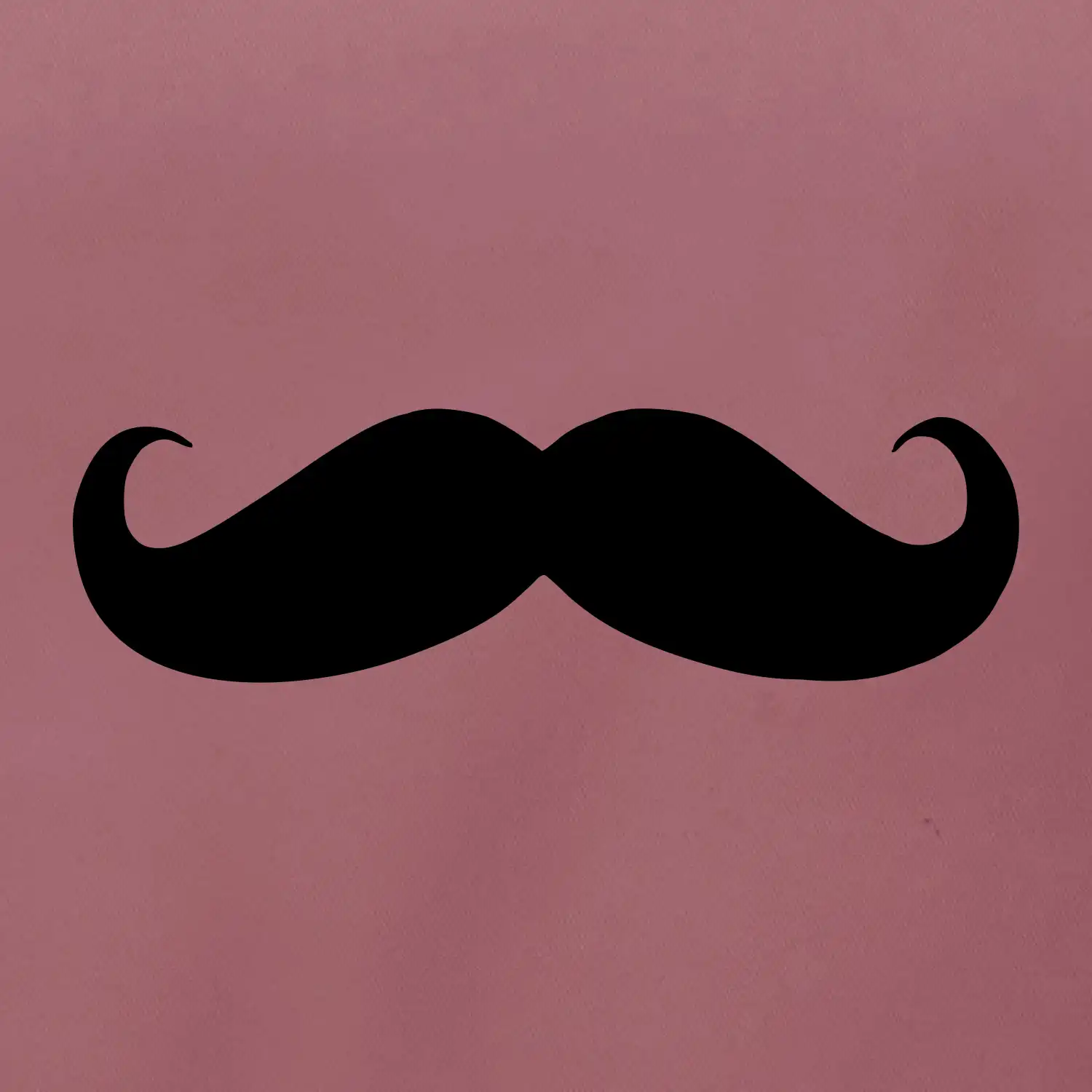 Mustache - knírek