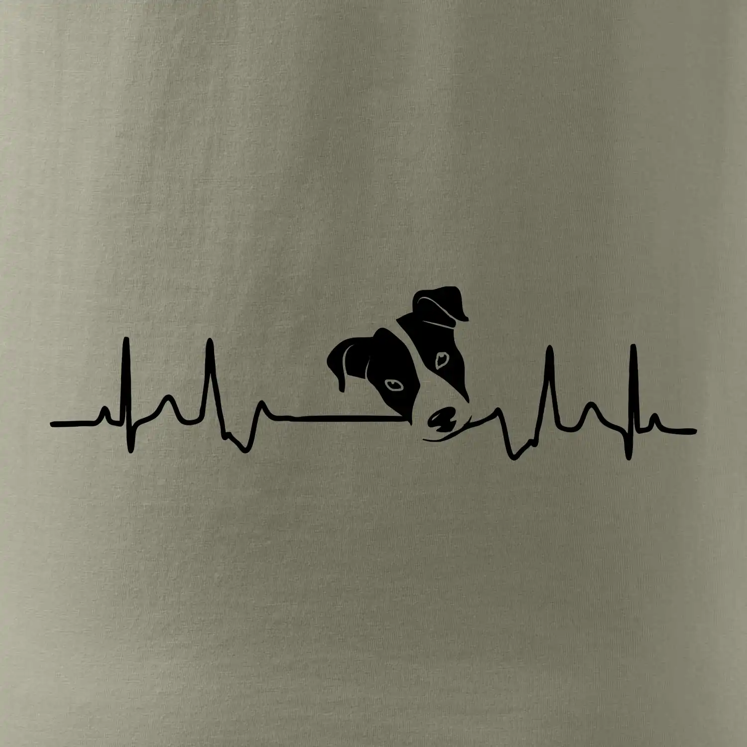 Jack Russell Terriér Ekg