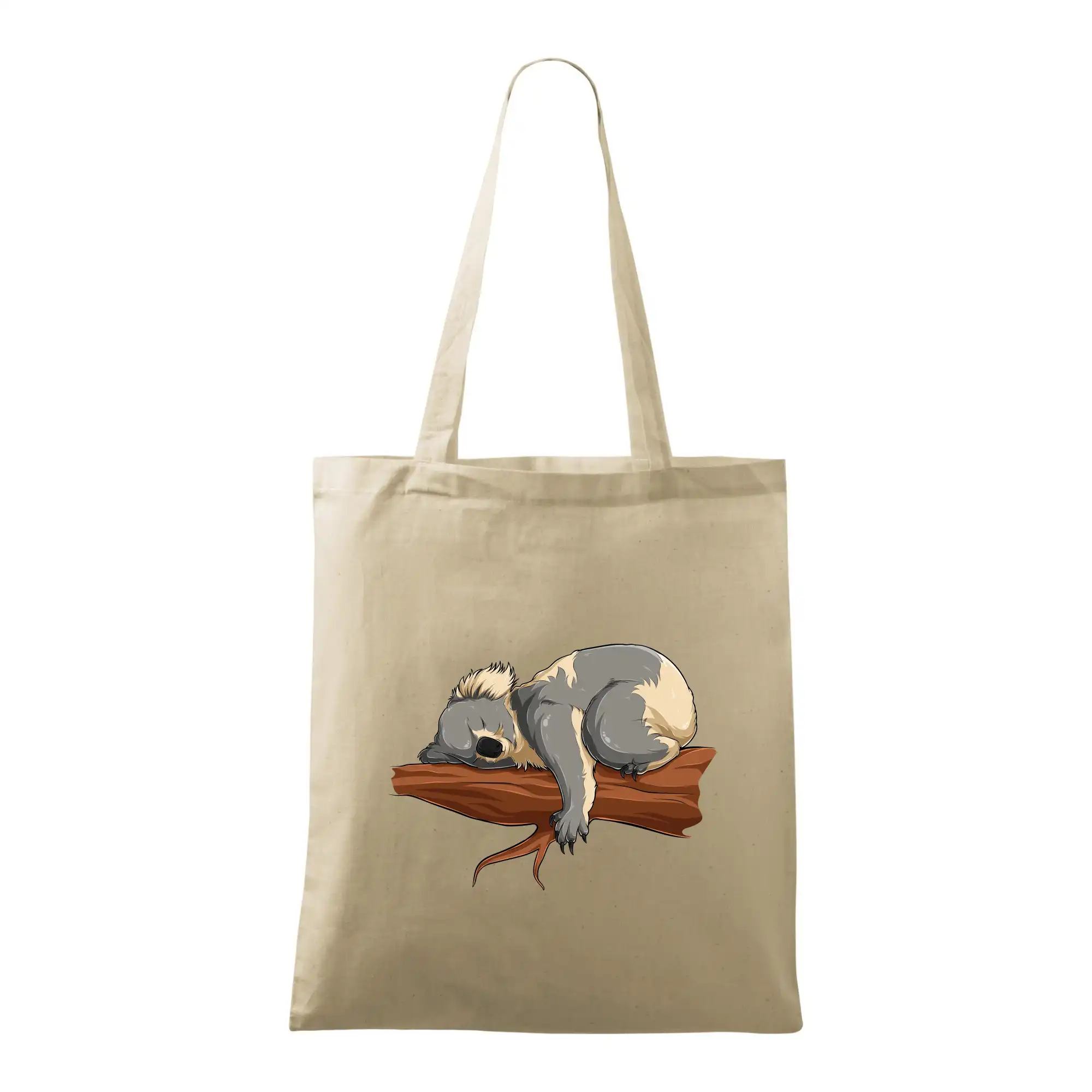 Koala na větvi