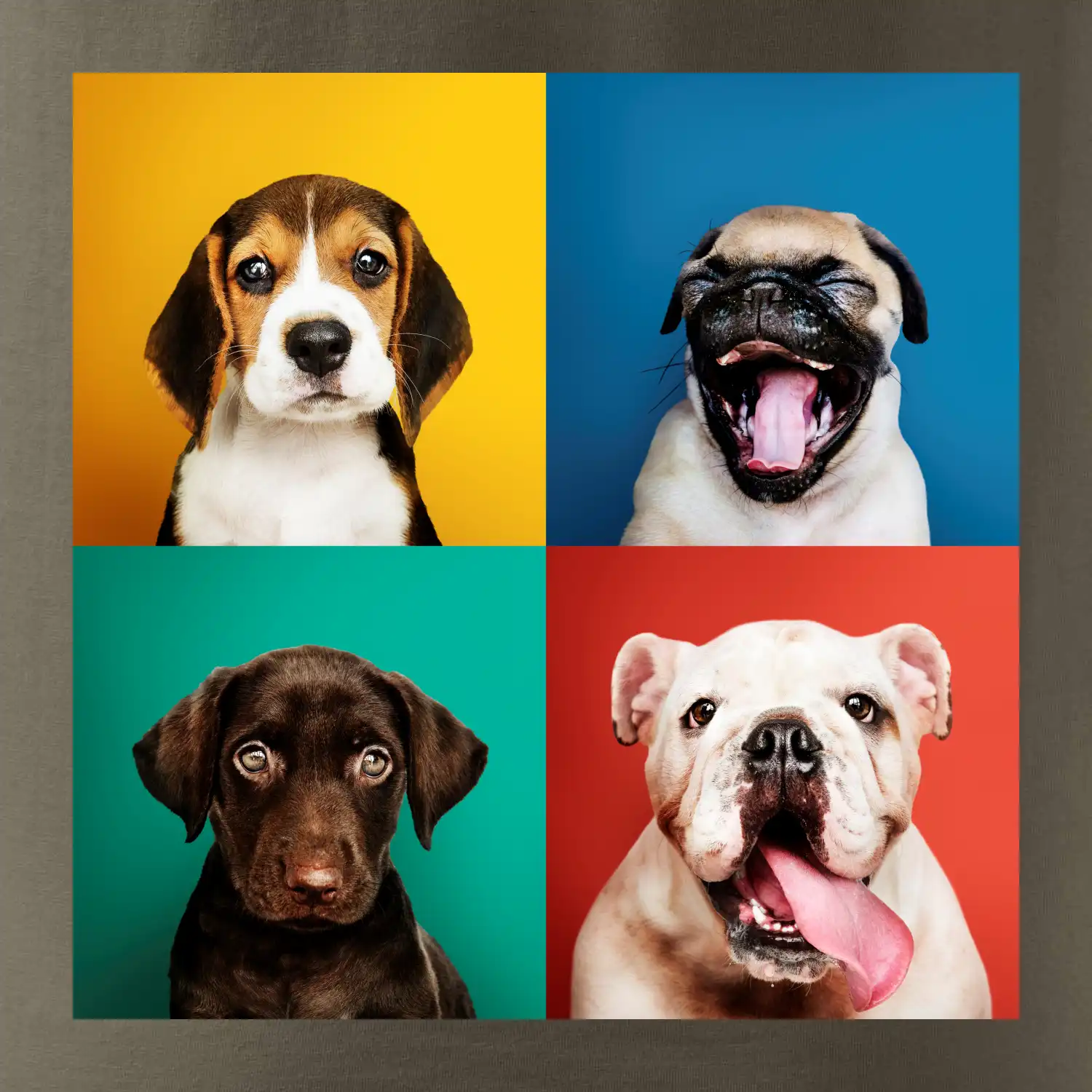 Psi štěňata koláž