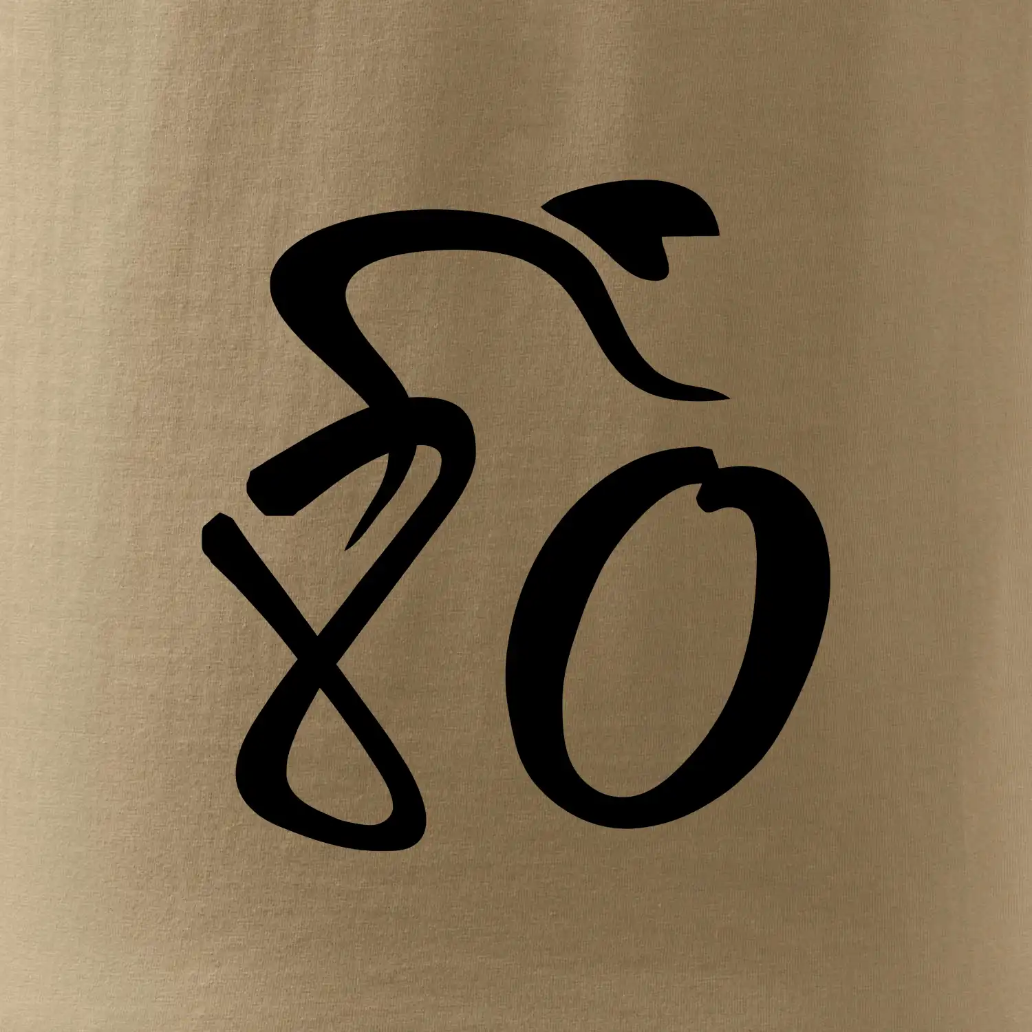 Cyklista slaví osmdesátiny (80)