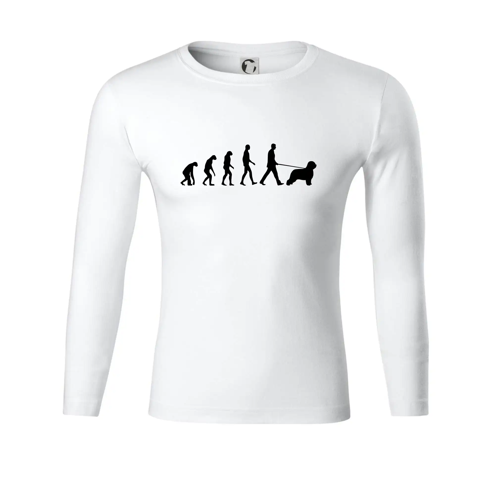 Evoluce pes Briard