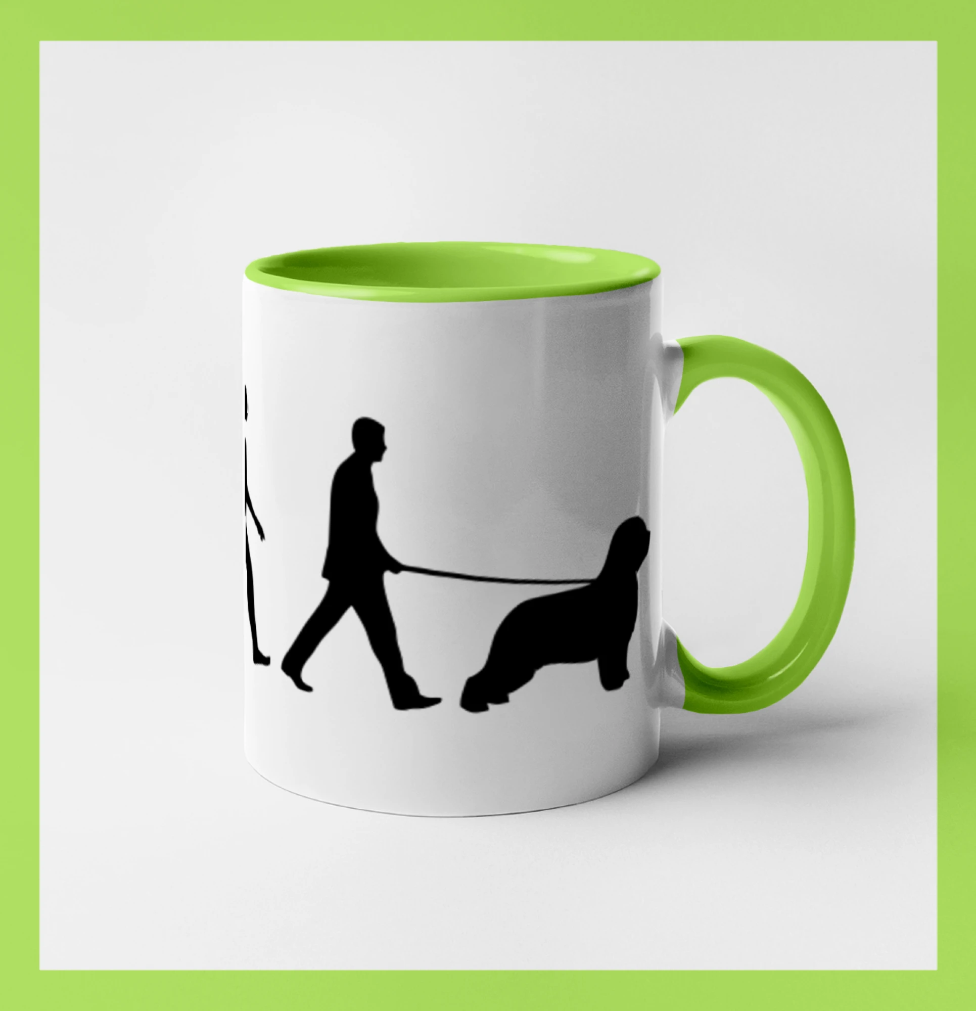 Evoluce pes Briard