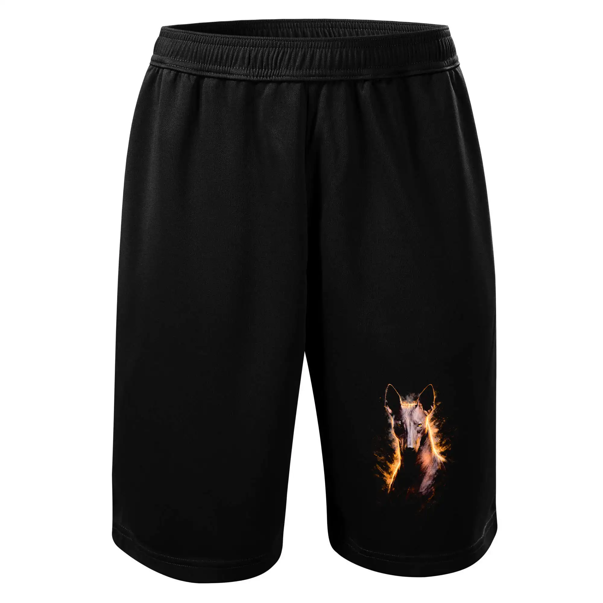 Obrázek polotón Xoloitzcuintli mexický naháč