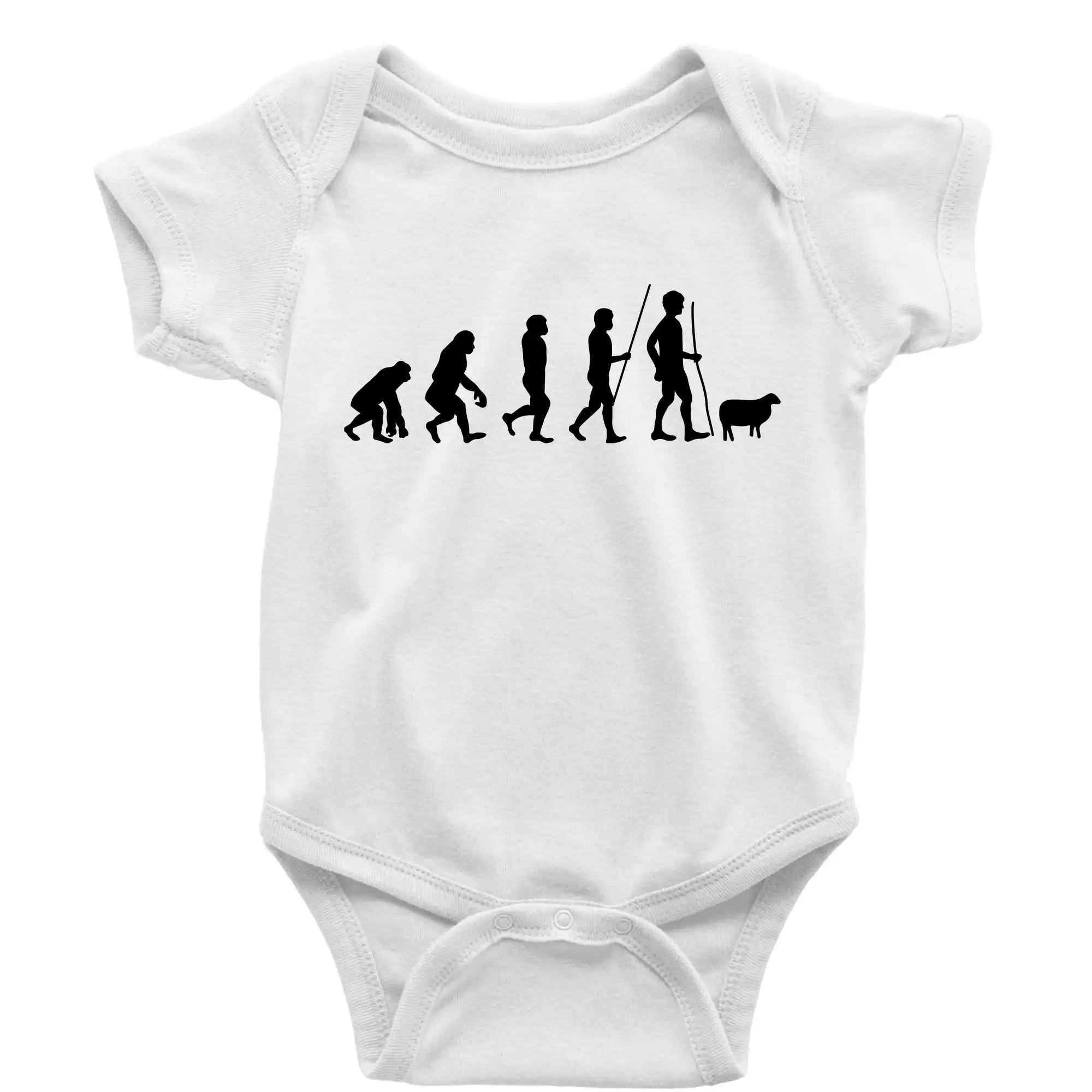 Evoluce pastevec ovcí