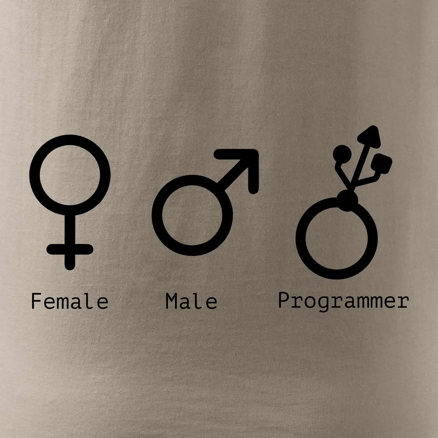 Female male programmer