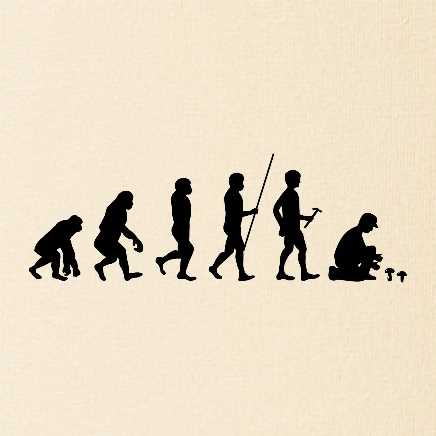 Evoluce houbař muž