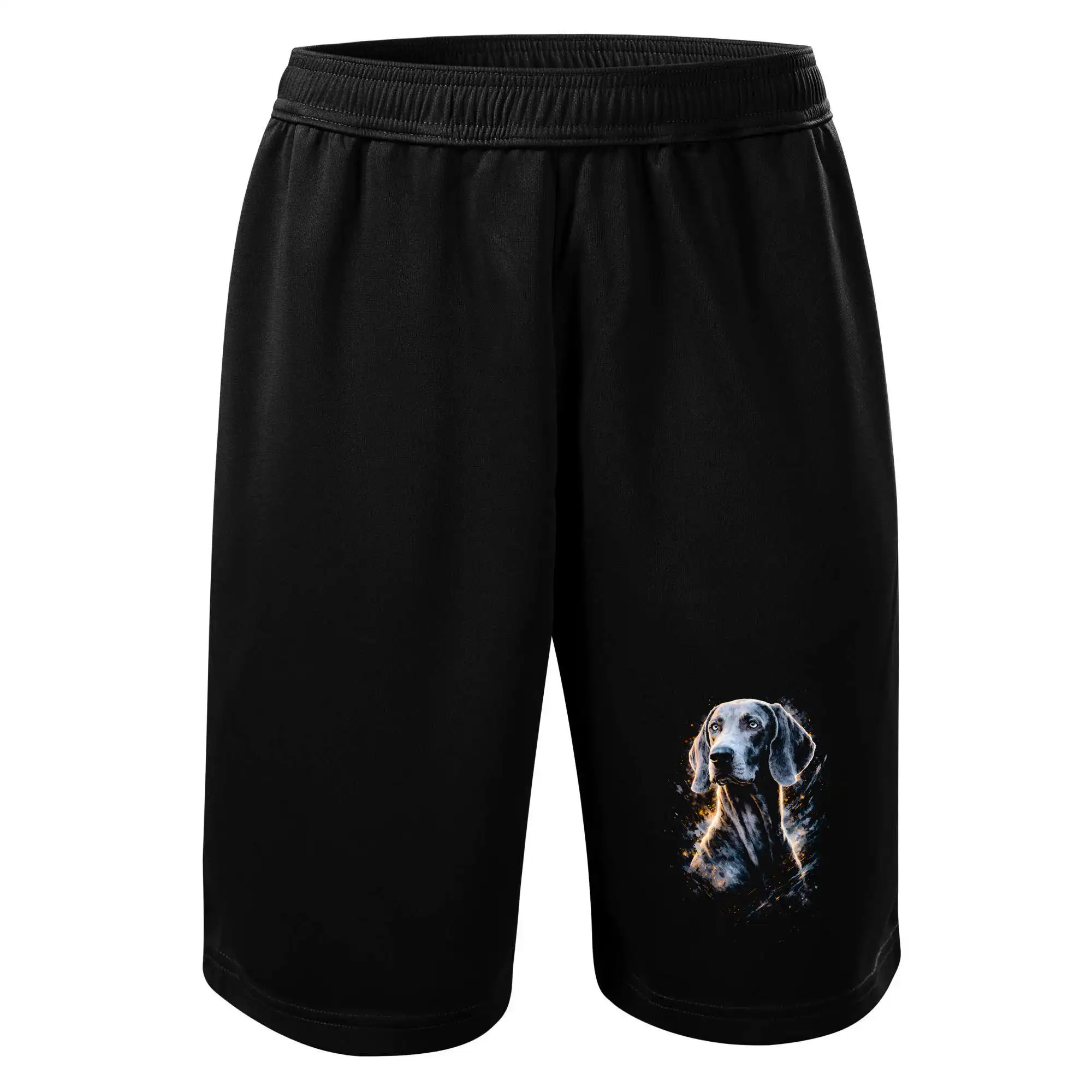 Obrázek polotón výmarský ohař šedý