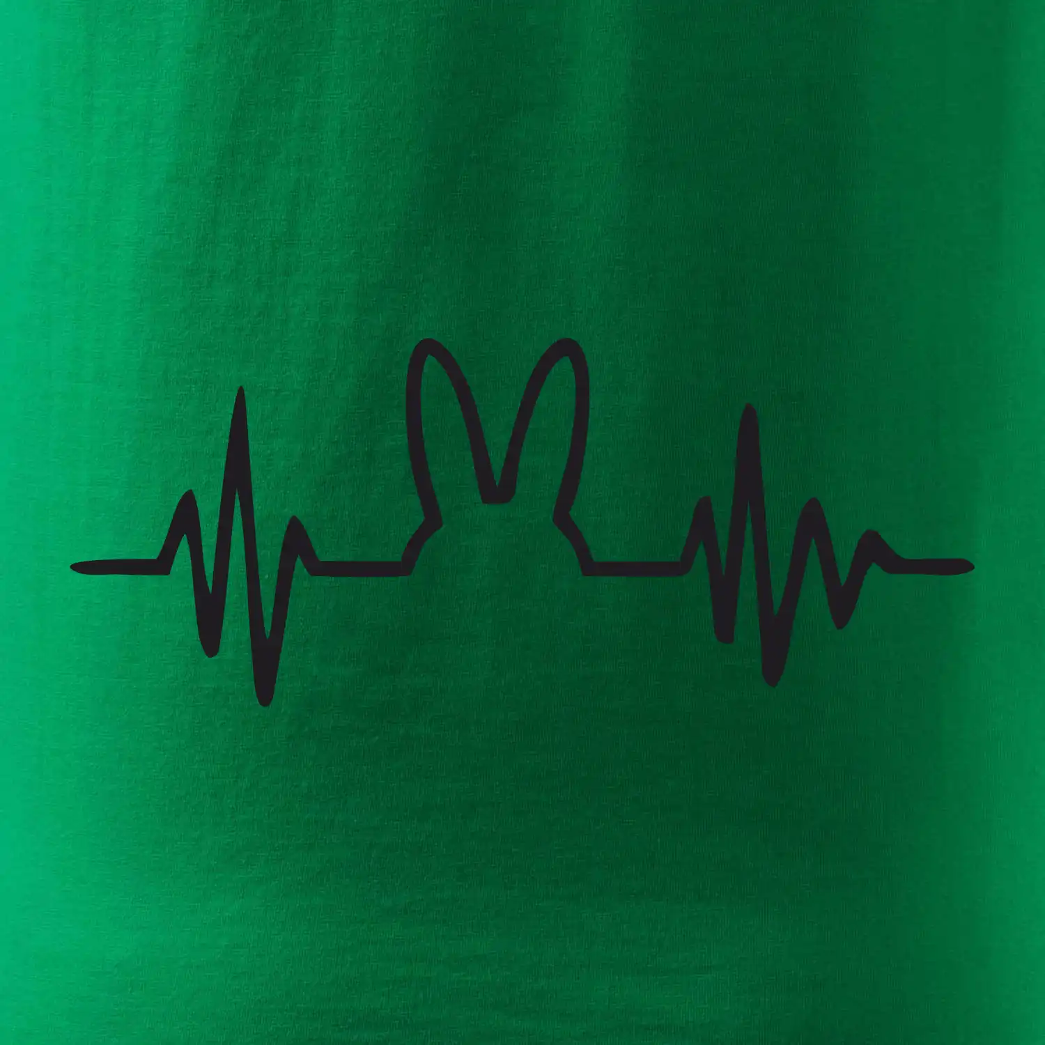 EKG zajíc