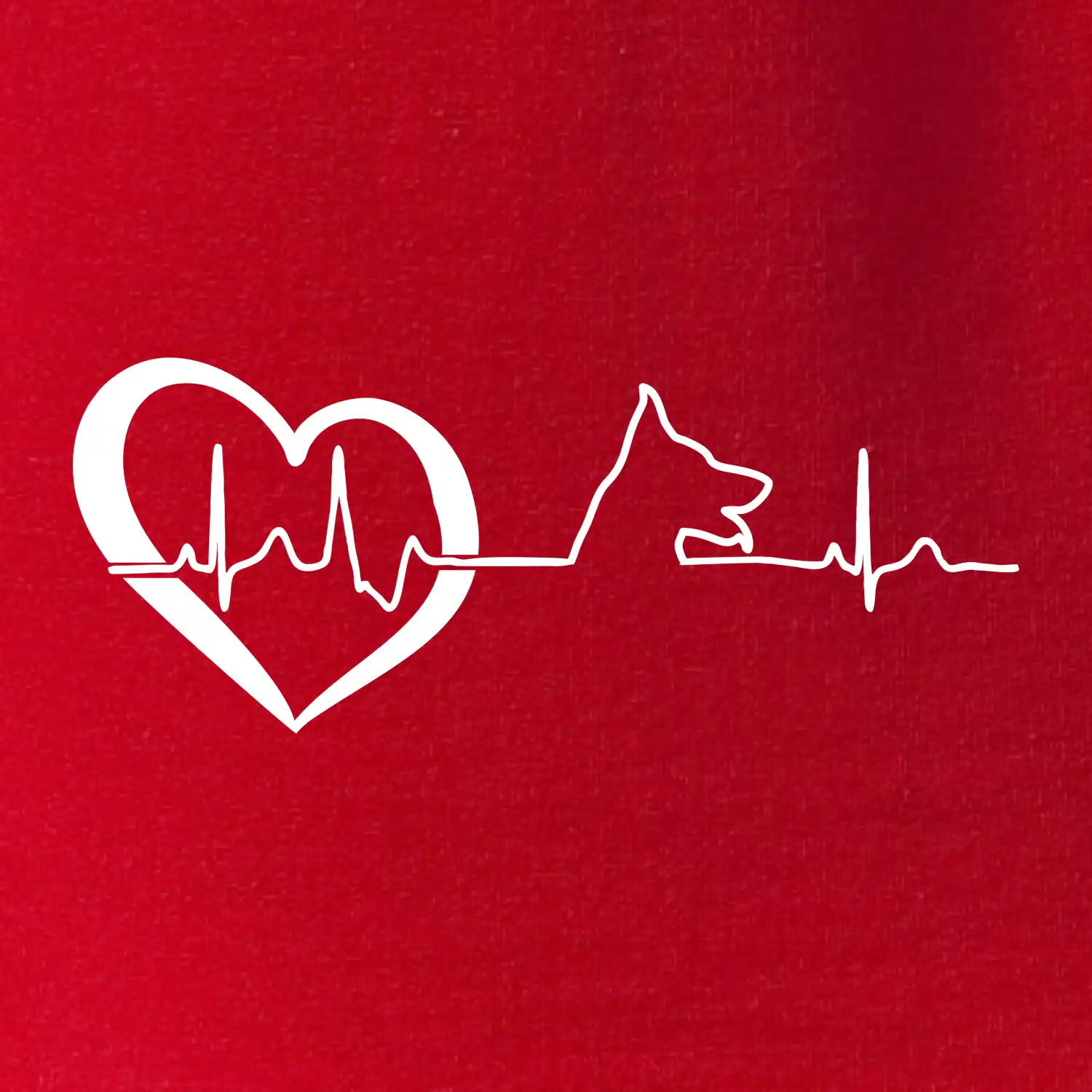 Německý ovčák ekg