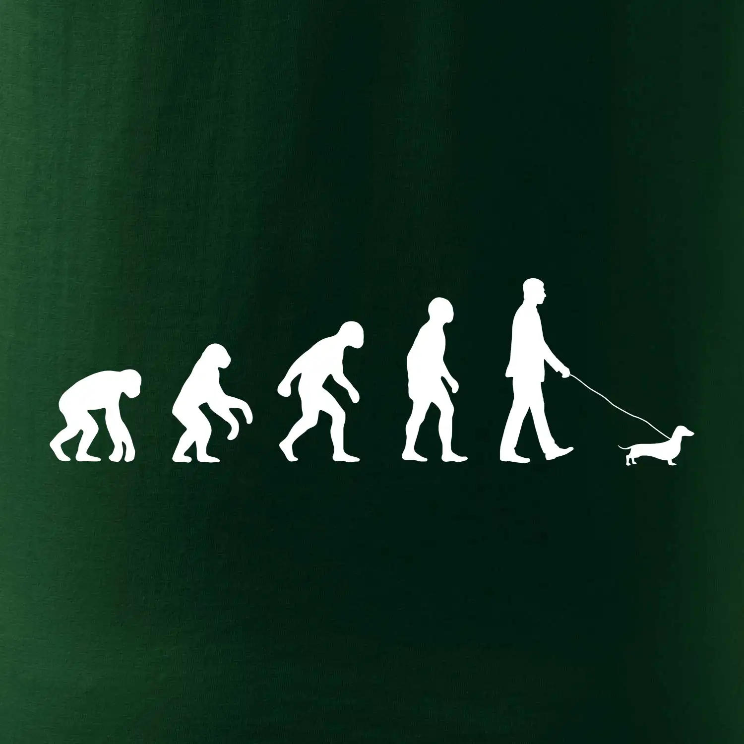 Jezevčík Evoluce muž / žena