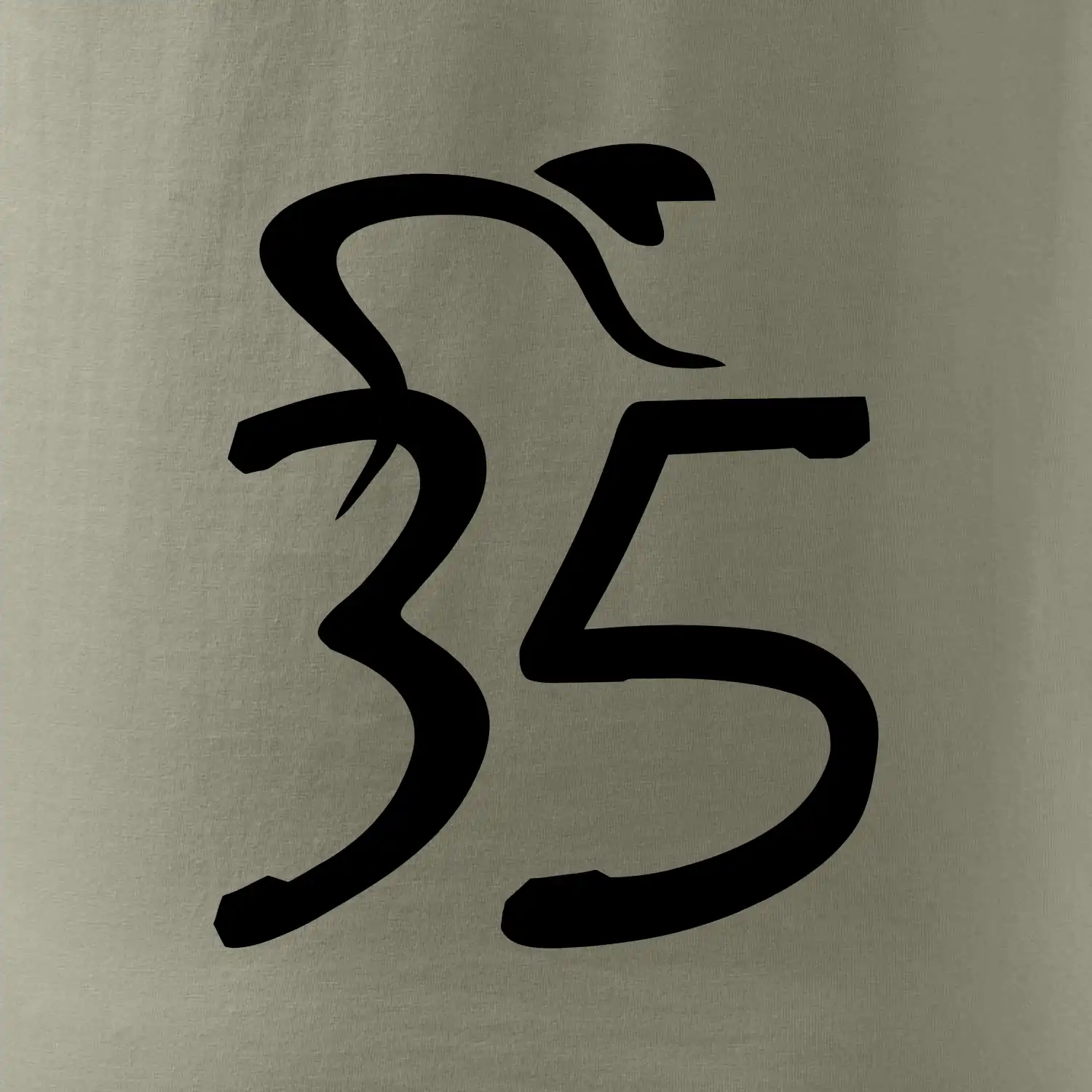 Cyklista slaví pětatřicítku (35)