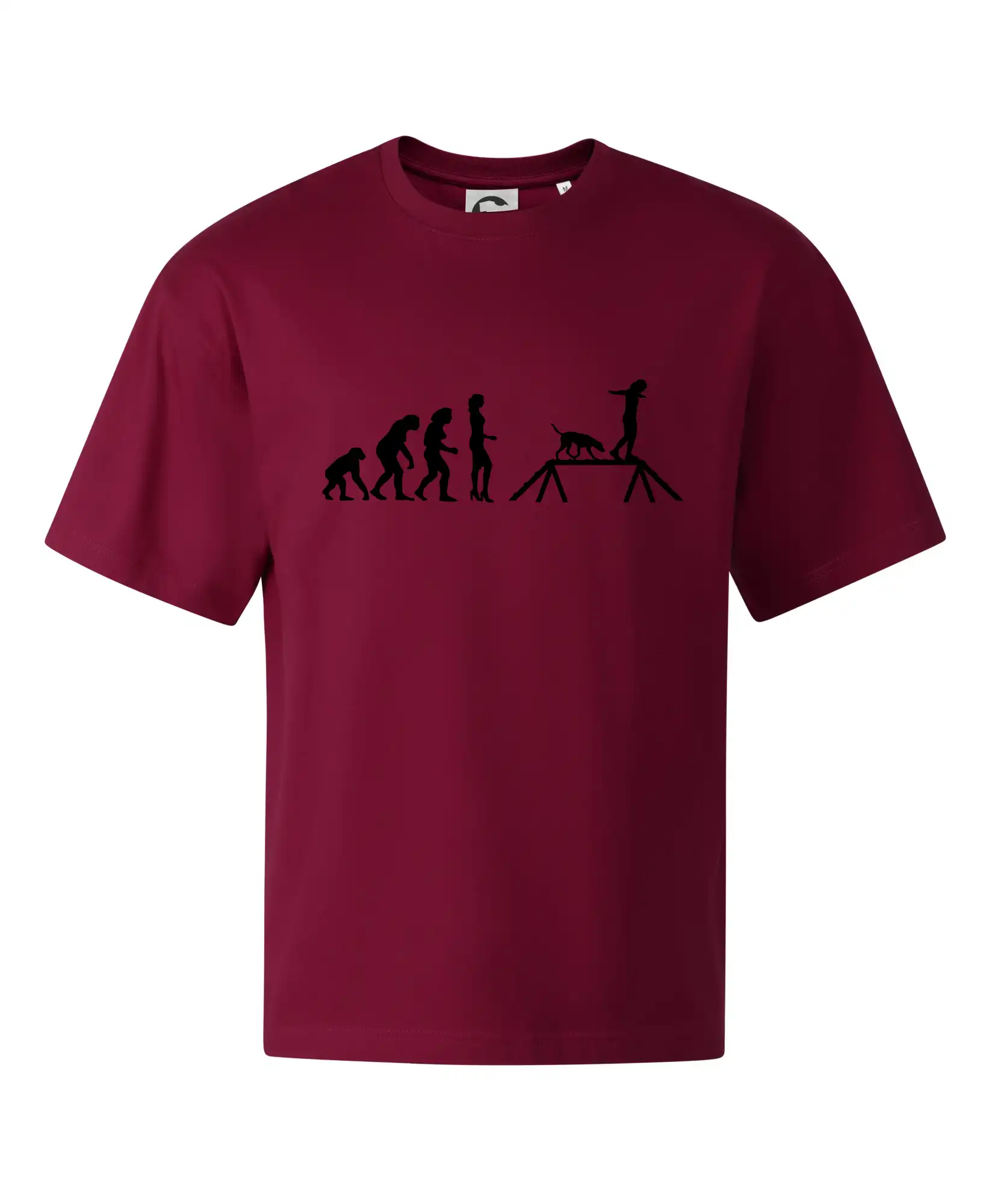 Evoluce agility žena
