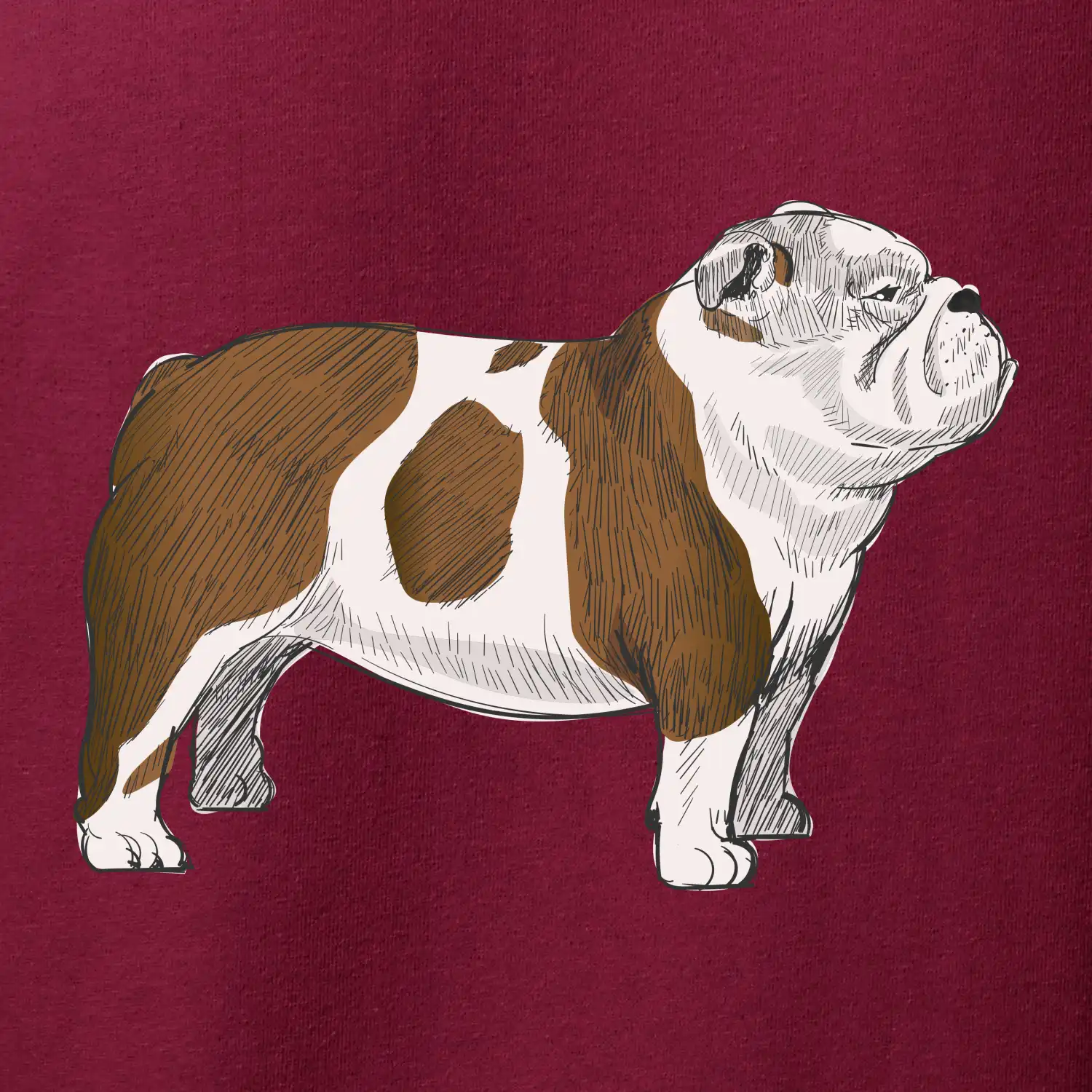 Vintage English bulldog