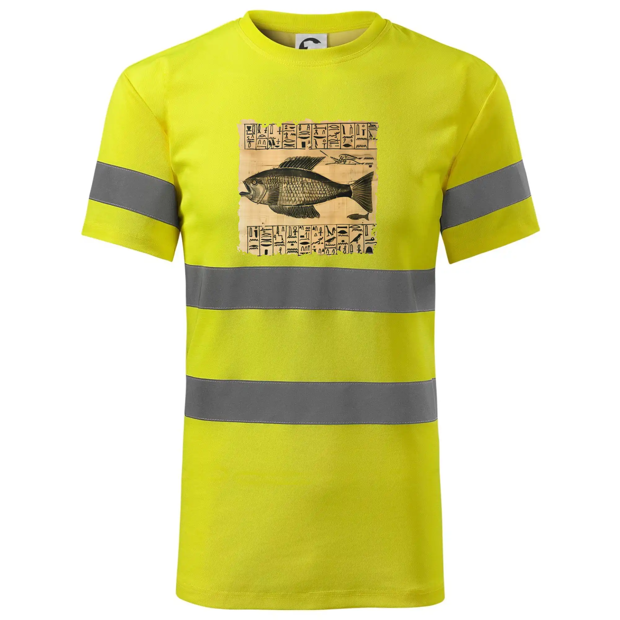 Egyptské hieroglyfy ryba