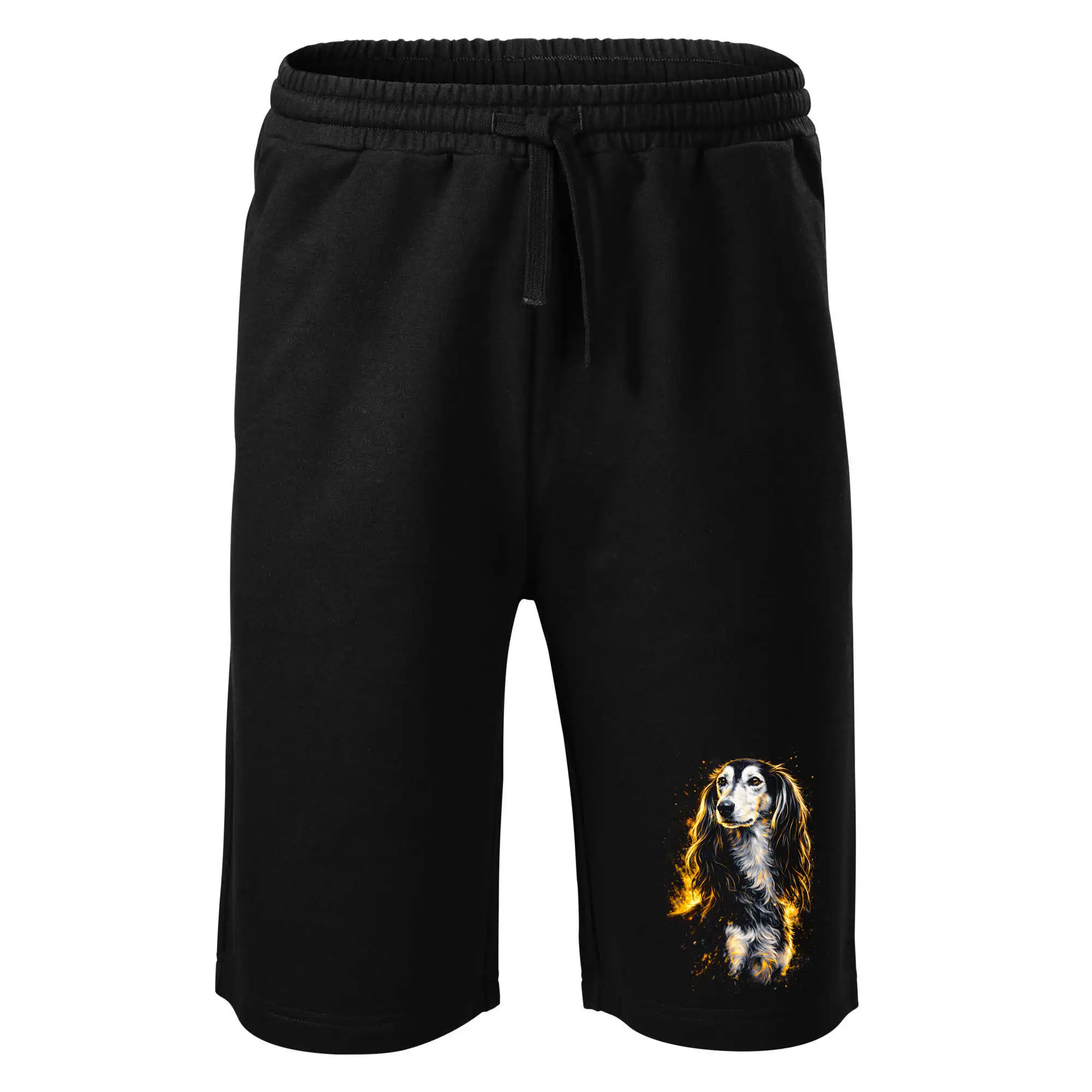 Obrázek polotón perský chrt