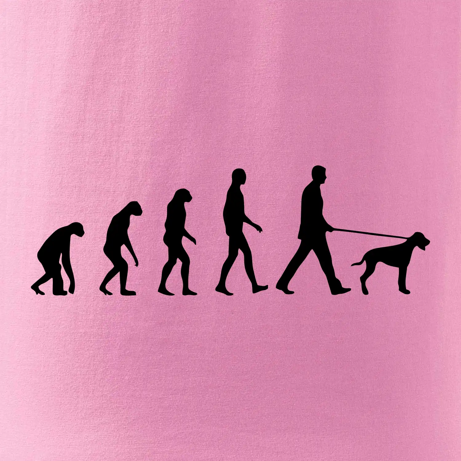 Evoluce pes ohař