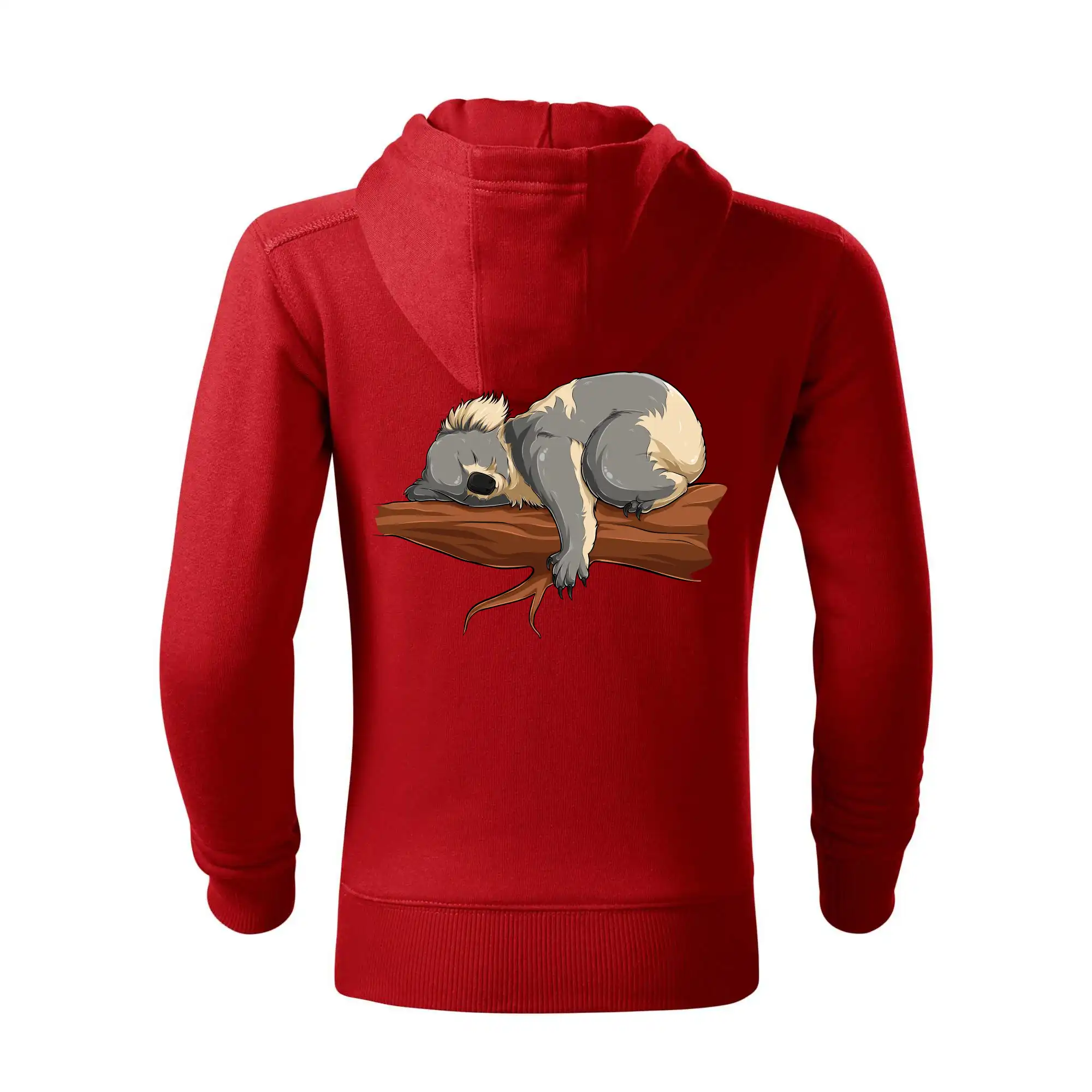Koala na větvi