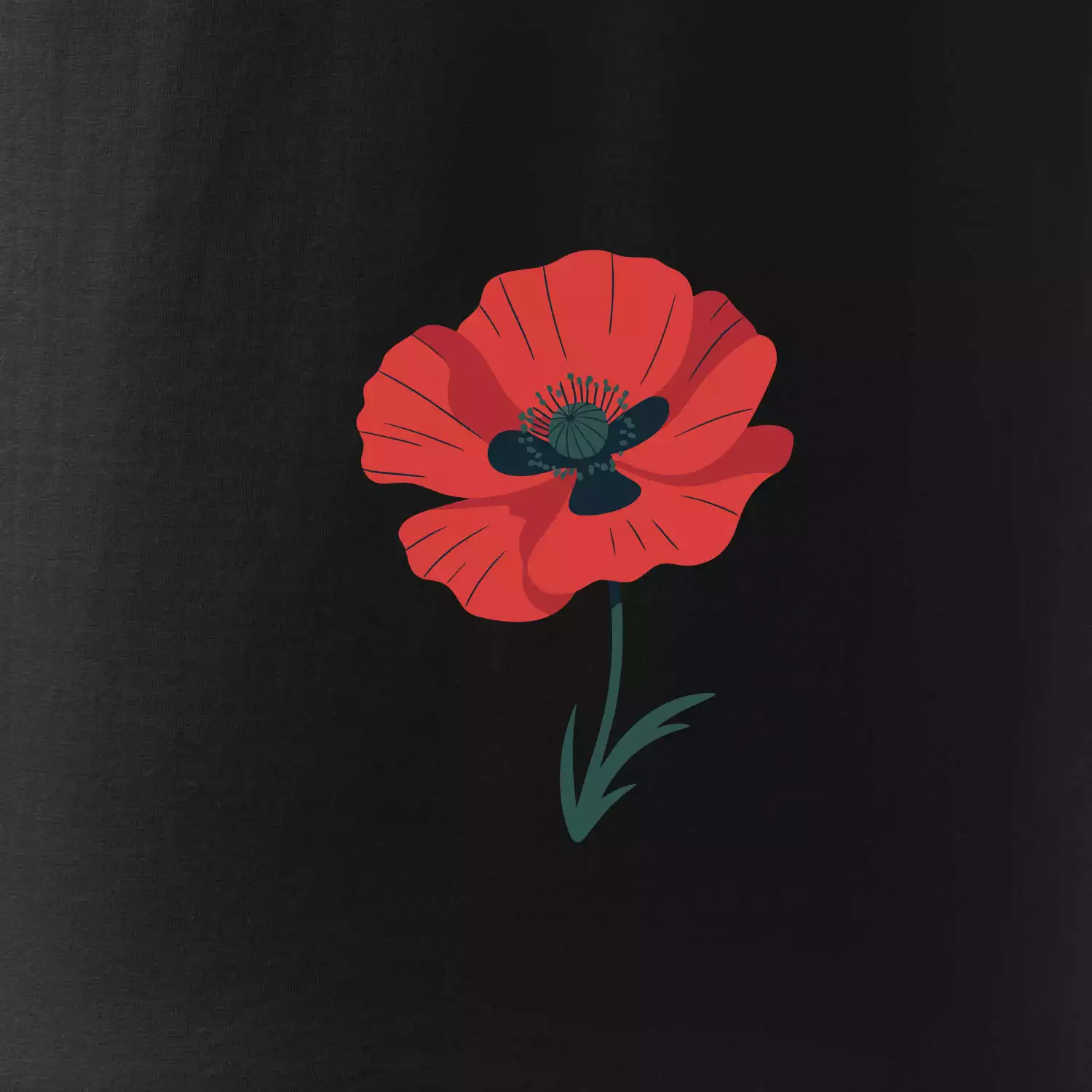 Vlčí mák kreslený velký