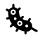 Choroby a diagnózy